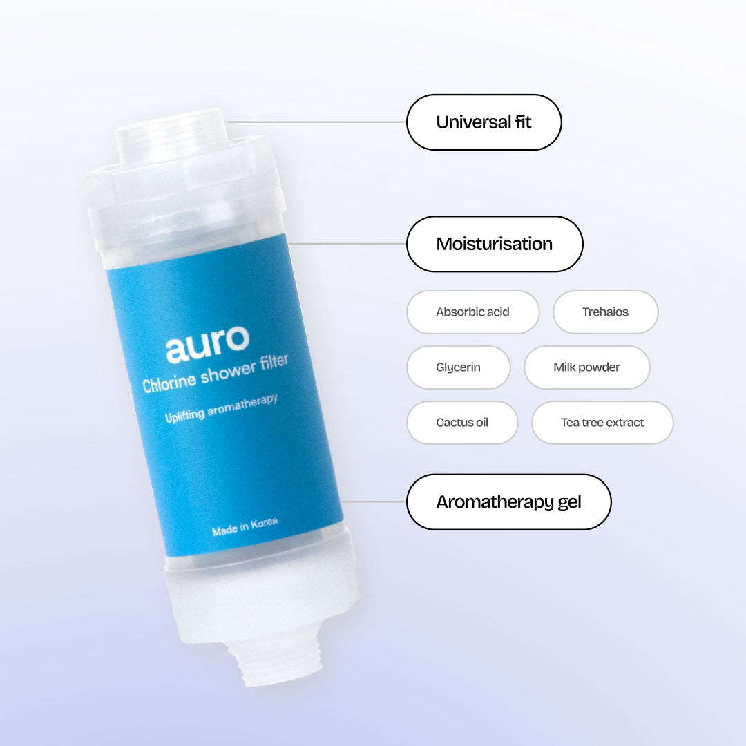 Chlorine Shower Filter (1 piece)