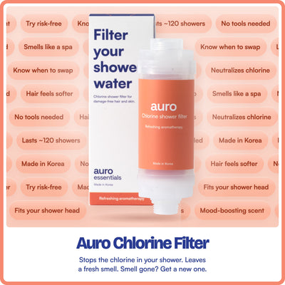 Chlorine Shower Filter (1 piece)